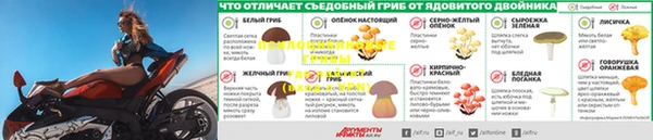 прущая мука Нея
