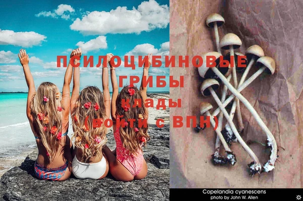 спиды Валдай