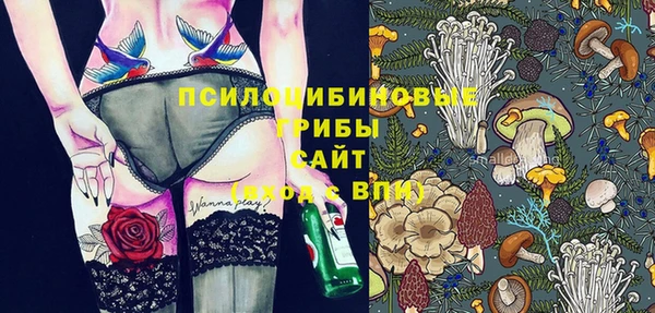 прущая мука Нея