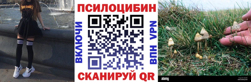 Галлюциногенные грибы Psilocybine cubensis Усть-Лабинск