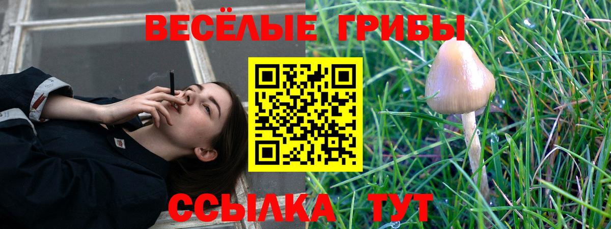 МАРИХУАНА  Усть-Лабинск  ГЕРОИН  МЕТАМФЕТАМИН  Codein  ГАШИШ  НБОМе  Меф МЯУ МЯУ   LSD-25  COCAIN  Бошки Шишки 