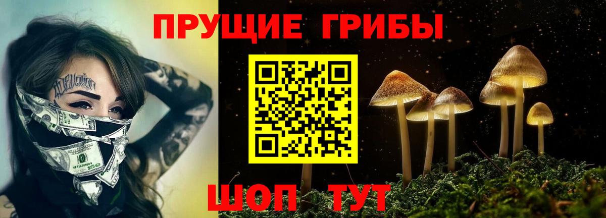 Усть-Лабинск  Псилоцибиновые грибы GOLDEN TEACHER  Вход с VPN 